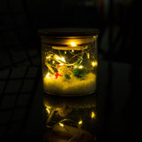 Max Christmas Decor Ornaments Can Globes For Home Office Decor Gifts