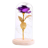 Maxbell Rose In Glass Dome Wooden Base Led Flower Lamps Purple