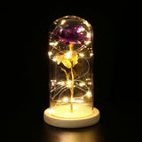 Maxbell Rose In Glass Dome Wooden Base Led Flower Lamps Purple