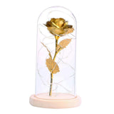 Maxbell Rose In Glass Dome Wooden Base Led Flower Lamps Golden