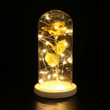 Maxbell Rose In Glass Dome Wooden Base Led Flower Lamps Golden