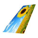 Maxbell Carpet for Living Room Ultra Soft Decorative Carpet for Living Room Style09