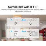 Maxbell Wifi DIY Smart Switch Compatible with Alexa & Google Home Assistant  RFR3