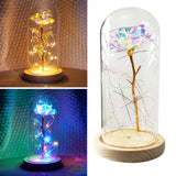 Enchanted Rose LED Glass Cover Night Light Lamp Decor Gift Warm Lights