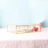 Glass Jewellery Box Lidded Clear Display Lipstick Perfume Storage Bedroom