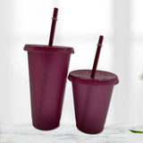 Maxbell Plastic Water Bottle Straw Cup Modern for Travel Shopping Friends Gifts wine red 710ml