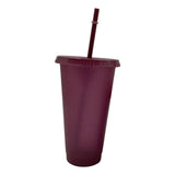 Maxbell Plastic Water Bottle Straw Cup Modern for Travel Shopping Friends Gifts wine red 710ml