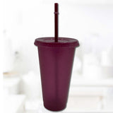Maxbell Plastic Water Bottle Straw Cup Modern for Travel Shopping Friends Gifts wine red 710ml