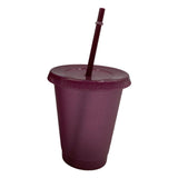 Maxbell Plastic Water Bottle Straw Cup Modern for Travel Shopping Friends Gifts wine red 500ml