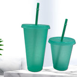 Maxbell Plastic Water Bottle Straw Cup Modern for Travel Shopping Friends Gifts light green 500ml
