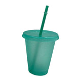 Maxbell Plastic Water Bottle Straw Cup Modern for Travel Shopping Friends Gifts light green 500ml