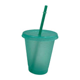 Maxbell Plastic Water Bottle Straw Cup Modern for Travel Shopping Friends Gifts light green 500ml