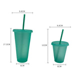 Maxbell Plastic Water Bottle Straw Cup Modern for Travel Shopping Friends Gifts light green 500ml