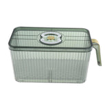 Maxbell Fridge Organizer Container with Handle with Freshness Timer Lid for Kitchen large green