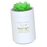 Maxbell USB Humidifier Bedside Night Light LED Air Humidifier for Desktop Home flower
