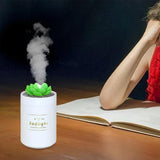 Maxbell USB Humidifier Bedside Night Light LED Air Humidifier for Desktop Home flower