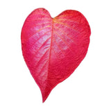 Maxbell Red Simulated Leaf Flannel Blanket Lightweight for Friends family 200cmx230cm