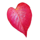 Maxbell Red Simulated Leaf Flannel Blanket Lightweight for Friends family 200cmx230cm