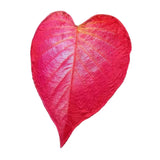 Maxbell Red Simulated Leaf Flannel Blanket Lightweight for Friends family 200cmx230cm