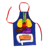 Maxbell DIY Organ Apron Educational Tool Apron Kitchen Apron Cooking Apron Bib