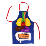 Maxbell DIY Organ Apron Educational Tool Apron Kitchen Apron Cooking Apron Bib