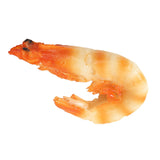Maxbell Simulation Meat Artificial Meat Model for Cabinet Desk Shops Sample Display Fake Shrimp
