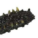 Maxbell Simulation Meat Artificial Meat Model for Cabinet Desk Shops Sample Display Fake Sea Cucumber