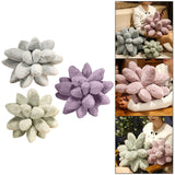Maxbell Succulents Pillow Sleeping Pillow Plant Pillows for Room Decor Gray