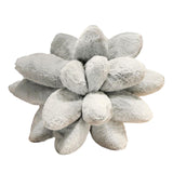 Maxbell Succulents Pillow Sleeping Pillow Plant Pillows for Room Decor Gray