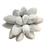 Maxbell Succulents Pillow Sleeping Pillow Plant Pillows for Room Decor Gray