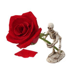 Maxbell Skull Holder Bracket Desktop Home Halloween Mini Resin Decor