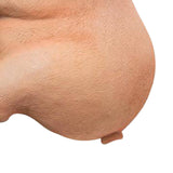 Maxbell Roll Paper Towel Rack Pigs Shaped Wall Mounted Reusable Durable for Kitchen