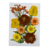 Maxbell Dried Flowers Crafts Multipurpose for Table Decorations Furniture Phone Case Orange yellow