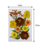 Maxbell Dried Flowers Crafts Multipurpose for Table Decorations Furniture Phone Case Orange yellow