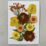 Maxbell Dried Flowers Crafts Multipurpose for Table Decorations Furniture Phone Case Orange yellow
