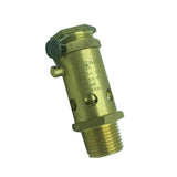 Max Safety Relief Valve Full Copper Spring Pressure Relief Valve 1.0-1.3MPa DN15