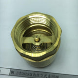 Max Brass Internal and External Filaments Vertical One Way Check Valve DN25