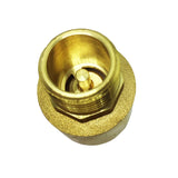 Max Brass Internal and External Filaments Vertical One Way Check Valve DN15