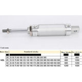 Max 20mm Bore 25-300mm Stroke Mini Pneumatic Air Cylinder 75mm Stroke