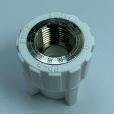 Maxbell PPR Water Pipe Tube Fittings Female Thread Hose Straight Connector 4x4