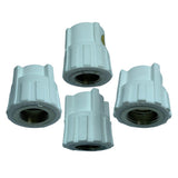 Maxbell PPR Water Pipe Tube Fittings Female Thread Hose Straight Connector 4x4