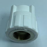 Maxbell PPR Water Pipe Tube Fittings Female Thread Hose Straight Connector 6x6