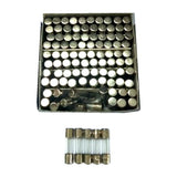 Maxbell 100x 5x20mm Fast-blow Glass Fuses Quick Blow Tube Fuses Assorted Kit