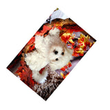 Maxbell 5D DIY Diamond Painting Animal Embroidery Art Craft For Home Decor Dog