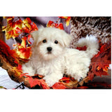 Maxbell 5D DIY Diamond Painting Animal Embroidery Art Craft For Home Decor Dog