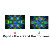 Maxbell Full Drill Diamond Embroidery Kits Arts for Home Wall Decor Peacock Pattern