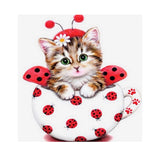 Maxbell 5D Diamond Embroidery Painting Cross Stitch Kit Animal for Home Decor Cat