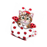Maxbell 5D Diamond Embroidery Painting Cross Stitch Kit Animal for Home Decor Cat