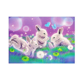 Maxbell 1 Set Beautiful Diamond Paniting Kit Cross Stitch Picture Handcraft Rabbit