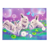 Maxbell 1 Set Beautiful Diamond Paniting Kit Cross Stitch Picture Handcraft Rabbit